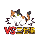 三毛猫です.（個別スタンプ：8）