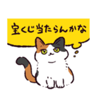 三毛猫です.（個別スタンプ：13）