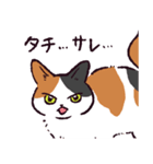 三毛猫です.（個別スタンプ：20）