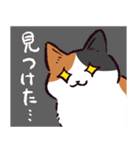 三毛猫です.（個別スタンプ：25）