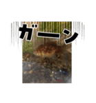 ペットスタンプです。（個別スタンプ：7）