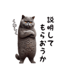 ブリティッシュショートヘアのスタンプpt3（個別スタンプ：10）