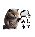 ブリティッシュショートヘアのスタンプpt3（個別スタンプ：21）