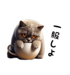 ブリティッシュショートヘアのスタンプpt3（個別スタンプ：30）