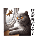 ブリティッシュショートヘアのスタンプpt3（個別スタンプ：35）