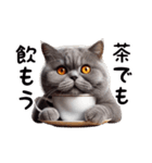 ブリティッシュショートヘアのスタンプpt3（個別スタンプ：36）