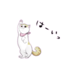 春爛漫猫猫スタンプ（個別スタンプ：11）