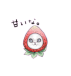 春爛漫猫猫スタンプ（個別スタンプ：15）