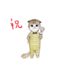 春爛漫猫猫スタンプ（個別スタンプ：17）