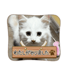 Nike/ニケ坊and Luna/ルナ 嬢 可愛い猫（個別スタンプ：6）