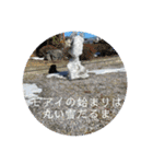 翡翠花壇@槍ヶ岳（個別スタンプ：8）