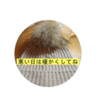 翡翠花壇@槍ヶ岳（個別スタンプ：10）
