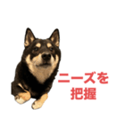 黒柴もずくの意識高めなビジネス用語集（個別スタンプ：6）