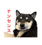 黒柴もずくの意識高めなビジネス用語集（個別スタンプ：7）
