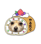 ポメチワのUruくん(9)（個別スタンプ：1）