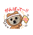 ポメチワのUruくん(9)（個別スタンプ：2）