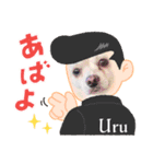 ポメチワのUruくん(9)（個別スタンプ：4）