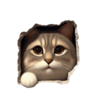 猫の可能性（個別スタンプ：5）