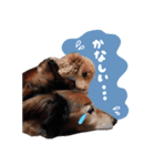 インディー（挨拶）（個別スタンプ：5）