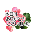 きちんと大人敬語✿あると助かる！花あいさつ（個別スタンプ：13）