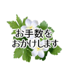 きちんと大人敬語✿あると助かる！花あいさつ（個別スタンプ：16）