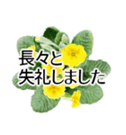 きちんと大人敬語✿あると助かる！花あいさつ（個別スタンプ：28）