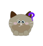 8匹のねこたん〜感情オノマトペ〜（個別スタンプ：6）