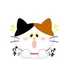 8匹のねこたん〜感情オノマトペ〜（個別スタンプ：15）