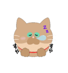 8匹のねこたん〜感情オノマトペ〜（個別スタンプ：24）