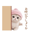 かわいいスコティッシュ猫 好き＆感謝 敬語（個別スタンプ：16）