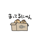 茶トラ兄弟ルースとネオ（個別スタンプ：6）