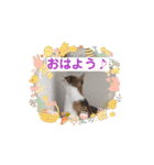 ちび猫たちのお喋り（個別スタンプ：3）