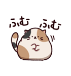 ご近所さんのみけねこ（個別スタンプ：9）