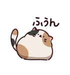 ご近所さんのみけねこ（個別スタンプ：10）