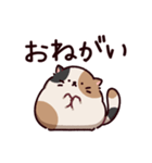 ご近所さんのみけねこ（個別スタンプ：19）