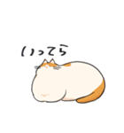 白茶のねこ2（個別スタンプ：4）