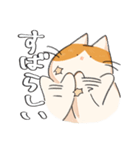 白茶のねこ2（個別スタンプ：19）