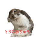 むぎちゃむと一緒（個別スタンプ：2）