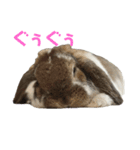 むぎちゃむと一緒（個別スタンプ：3）