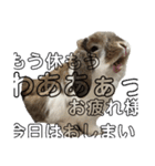むぎちゃむと一緒（個別スタンプ：4）
