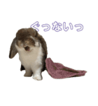 むぎちゃむと一緒（個別スタンプ：7）