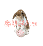むぎちゃむと一緒（個別スタンプ：9）