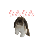 むぎちゃむと一緒（個別スタンプ：14）