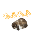 むぎちゃむと一緒（個別スタンプ：16）
