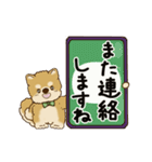 動く柴犬さん 2025 「お仕事用」3（個別スタンプ：24）