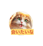 猫で挨拶しましょう（個別スタンプ：1）