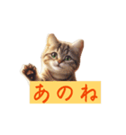 猫で挨拶しましょう（個別スタンプ：3）