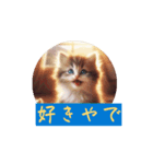 猫で挨拶しましょう（個別スタンプ：6）