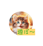 猫で挨拶しましょう（個別スタンプ：7）