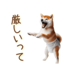 おむつわんこ♡柴犬＆黒柴（個別スタンプ：16）